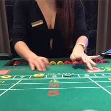 981kis